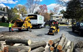 Best Arborist Consultation Services  in Tangelo Park, FL